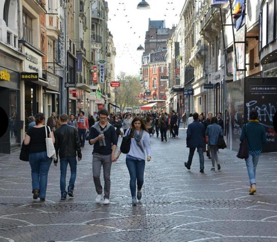 Apartamento Le Petit Paradis De Lille Mons-en-Baroeul