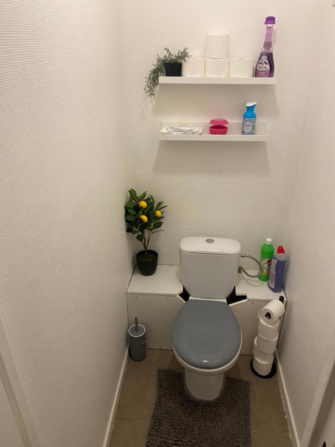 Le Petit Paradis De Lille Apartment